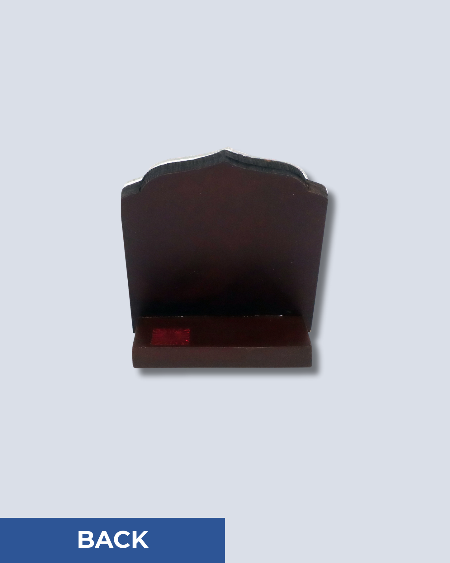 Gold Plated Acrylic 300 - Sant Rajinder Singh Ji Maharaj